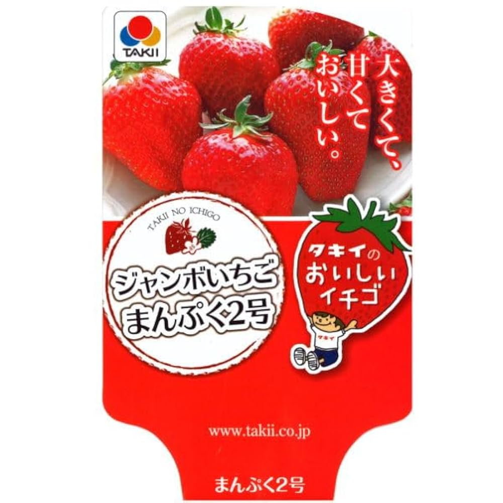 Amazon.co.jp: ジャンボ いちご まんぷく2号 10.5cmポット苗